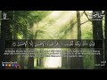 قران كريم راحة بال غير طبيعية في سورة الرحمن للقارئ احمد النجار 