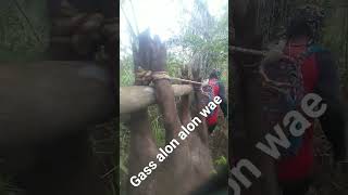 poin 2 ekor gacorrr