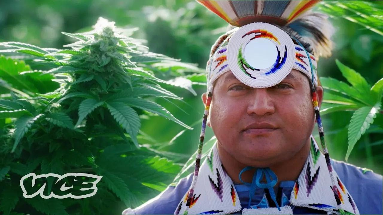 パイユート族のマリファナ事業｜WEEDIQUETTE