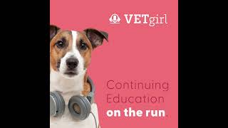 A Review of Intervertebral Disc Disease (IVDD) in Dogs with Dr. Missy Carpentier | VETgirl Veteri...
