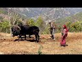 Amazing Nepali Village Life || Rural Nepal