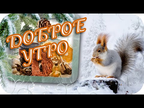 Доброе утро! ❤️ Доброго тебе зимнего денька, радостных событий! ❤️Музыкальное пожелание ❤️