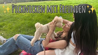 Picknicken mit Freunden