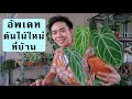 ต้นไม้ใหม่ในบ้าน ครั้งที่ 6 | Uncle Bank