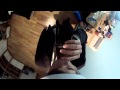 Drink Shot Head Cam GoPro Drink Shot Head Cam GoPro