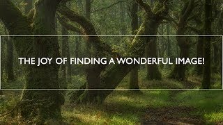 Landscape and Nature Photography | Rivington
