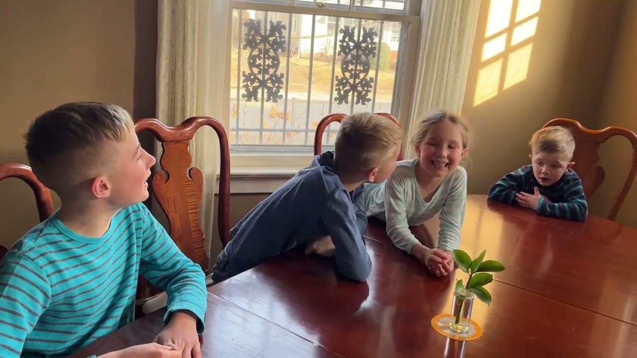 Latin Declensions (Noun Endings)