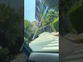 Guess the streets Philippines 🇵🇭 or USA🇺🇸 ?