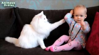 Nette Katzen und Babys Kuscheln - Babys Lieben Katze Kompilazion