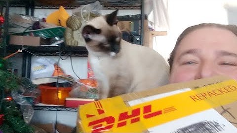 T3DP Live Easythread Mini X1 Unbox, Build, Print