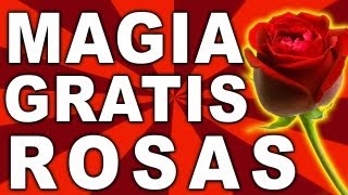 Como Hacer Aparecer Una Rosa, Truco De Magia Explicado, Revelado Y Gratis