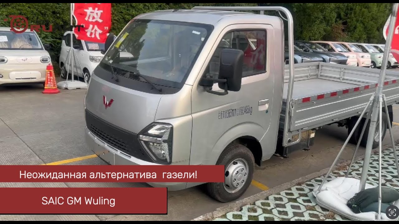 Неожиданная альтернатива газели!