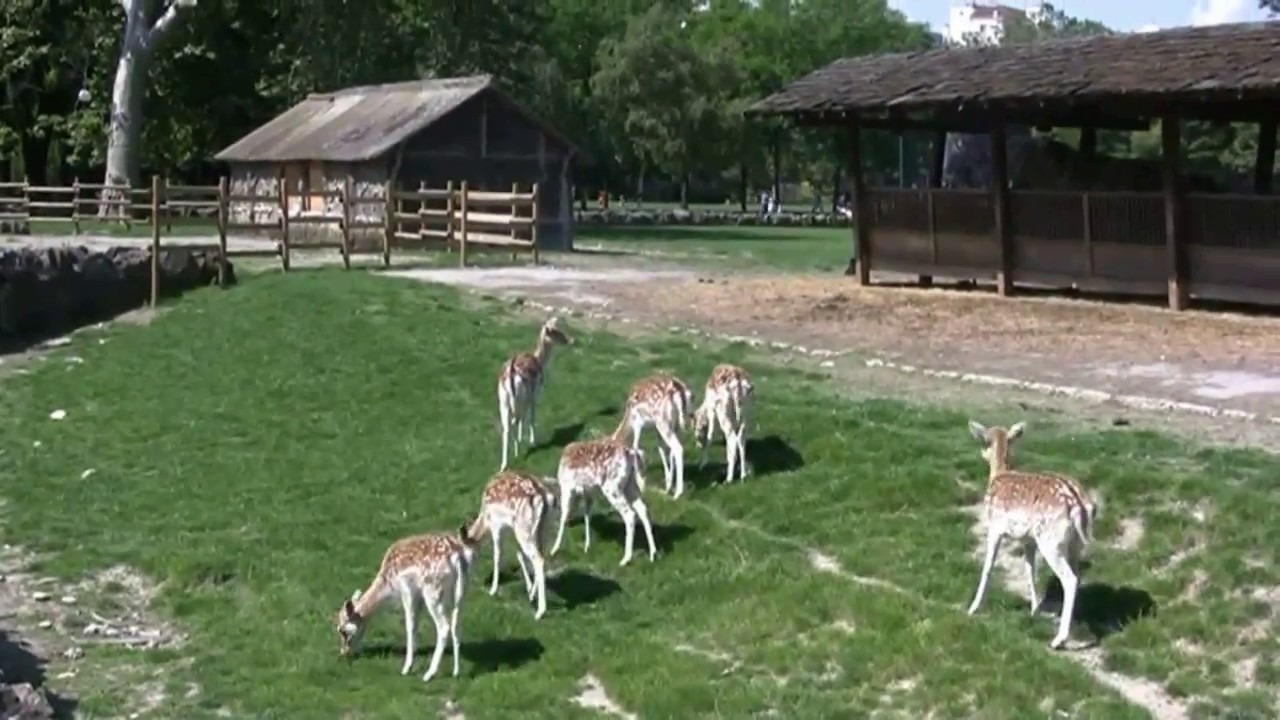 Le parc de la tetedor