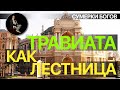 Сумерки богов. "ТРАВИАТА" КАК ЛЕСТНИЦА