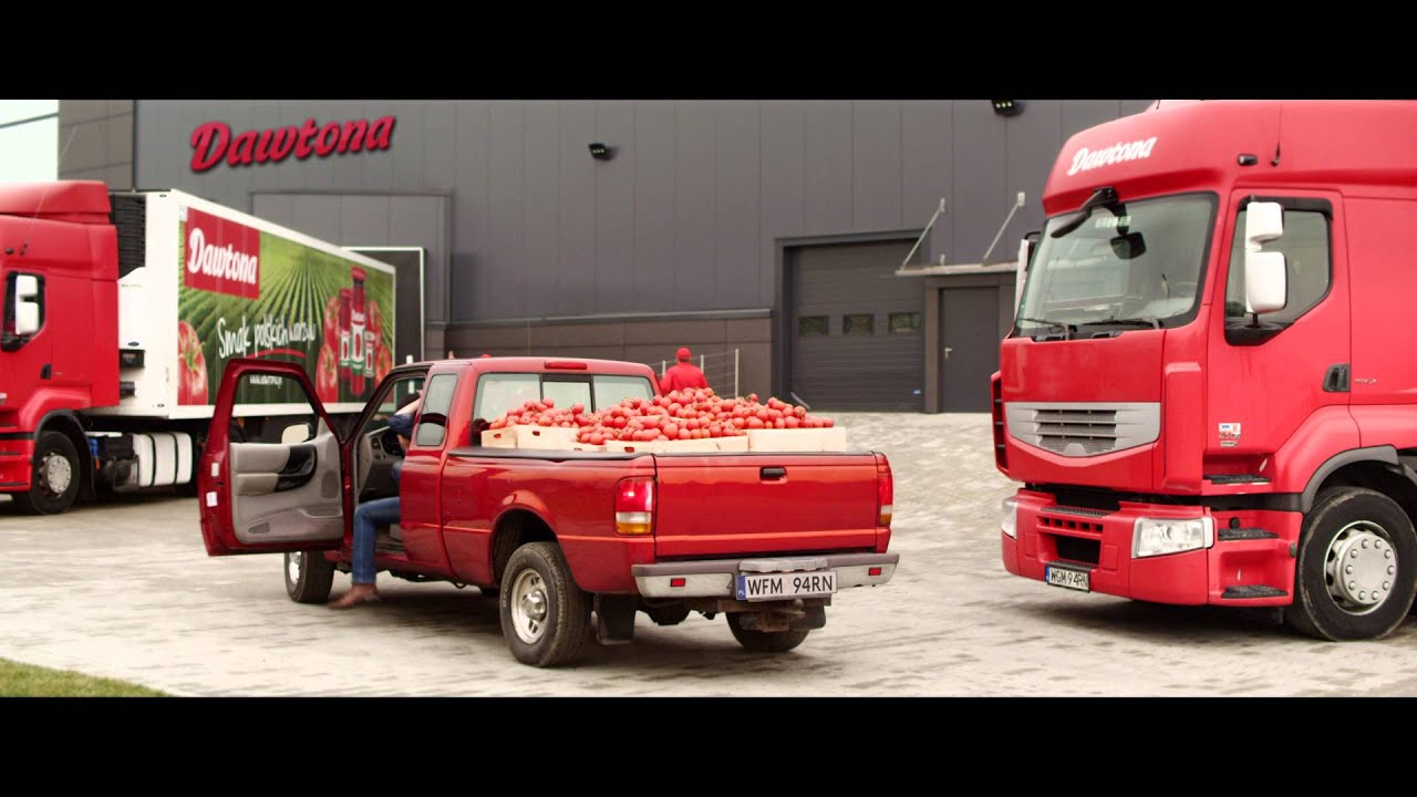 Dawtona reklama - Pomidor nowoczesny