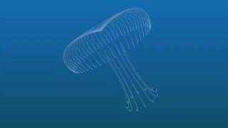 Quartz Composer Study/JellyFish