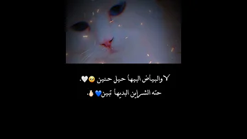 لا والبياض البيها حيل حنين 