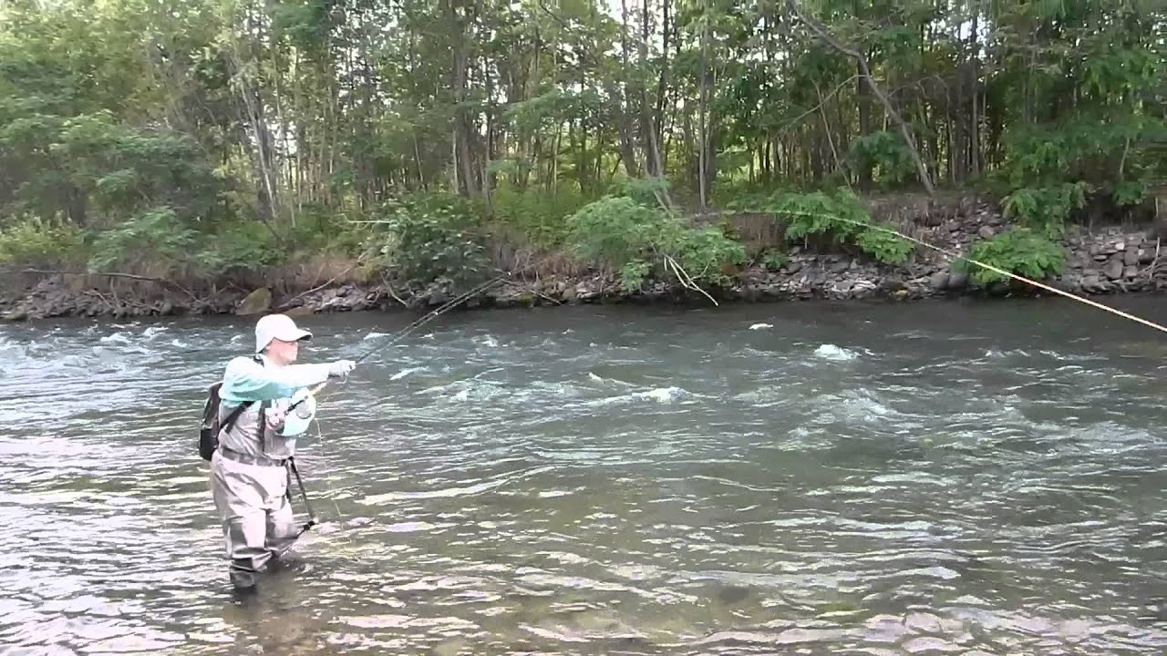 Skagit Cast オフショルダー編 どんまいアングラーのskagit Report Skagit Cast オフショルダー編 どんまいアングラーのskagit Report