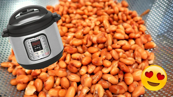 INSTANT POT PINTO BEANS