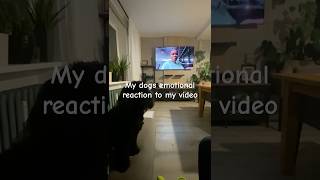 I’ve been gone for sometime and this is how my dog reacted to seeing me on my video my heart 💔#dog
