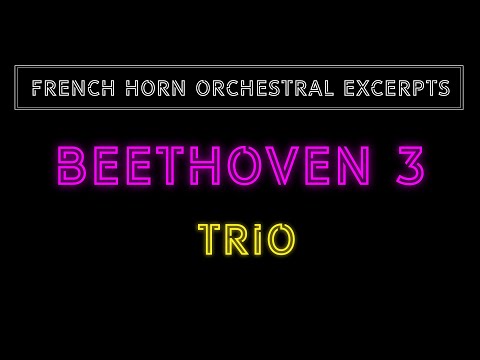 Beethoven 3 Horn trio solo | French horn orchestral excerpts | Play along