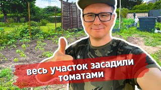 Садим томаты #посадки2024 | КУПИЛ ДАЧУ В ГЕРМАНИИ #37
