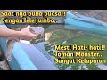 SETELAH PUASA 3 HARI LIHAT YANG TERJADI?? MASUKIN LELE JUMBO KE KOLAM TOMAN MONSTER