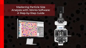 Mastering Particle Size Analysis with iWorks Software: A Step-by-Step Guide