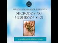 Micro-dosing mushrooms 101