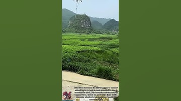 Drones Deliver Mortar || Innovative Ways of Delivery