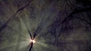 THE UNFORESEEN trailer
