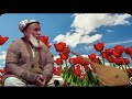 طلا سرپلی شریف شبرغانی
