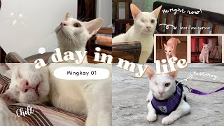 Mingkay | A day in my life ✨, afternoon walking 🌇, chill day