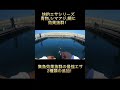本多商店から遂に新商品！！最強エサその名も『快釣エサマグナム』＆『快釣エサPP』#shorts #海釣り　＃最強エサ　＃爆釣エサ