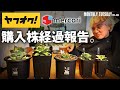 【アカベ】ヤフオク、メルカリで購入した怪しいアカベの育成経過報告!