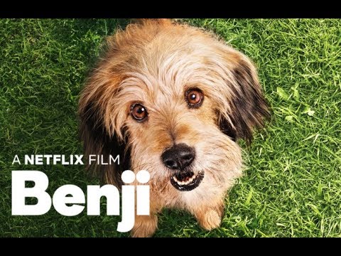 Benji - Trailer Subtitualdo en Español Latino l Netflix