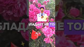 Разжижение крови без таблеток, 3 лучших продукта!