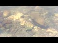 Nagalapuram Hike video | Inside the water