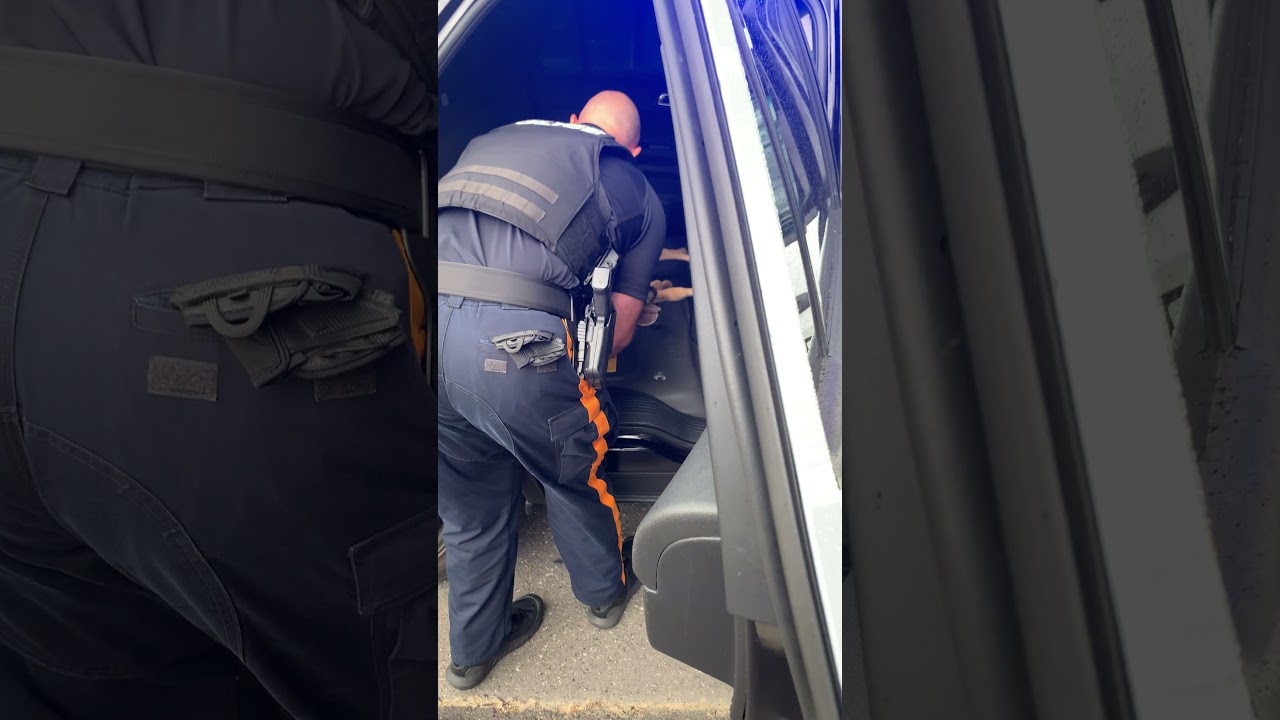 Police Officer Rescues Young Deer Found Lying on Roadside