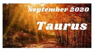 TAURUS SEPTEMBER - THEY CANT TALK JUST YET- BUT THEY ARE THE ONE//STOP DOUBTING // A TOUCH OF TAROT