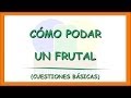 Como Podar un Frutal