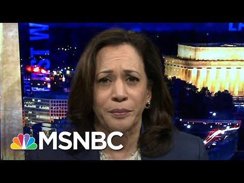 Sen. Harris: Congressional Relief For Small Businesses Was ‘Deeply Flawed’ | The Last Word | MSNBC