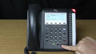 ESI 45 Business Phone: Password Set-up