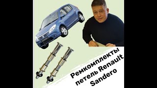 Ремкомплект петель двери для автомобиля Renault Sandero￼