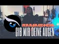 Rammstein - Gib Mir Deine Augen Guitar Cover [4K / MULTICAMERA]