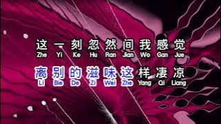 林淑容  《 我怎麼哭了 》  wo zen me ku le