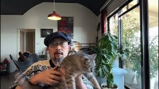 开年大戏，看医保局怎么“甩锅”药监局：上海“两会”，医学专家冲塔医保局，医保局自己调查集采药品、医疗器械的问题，剑指药监局