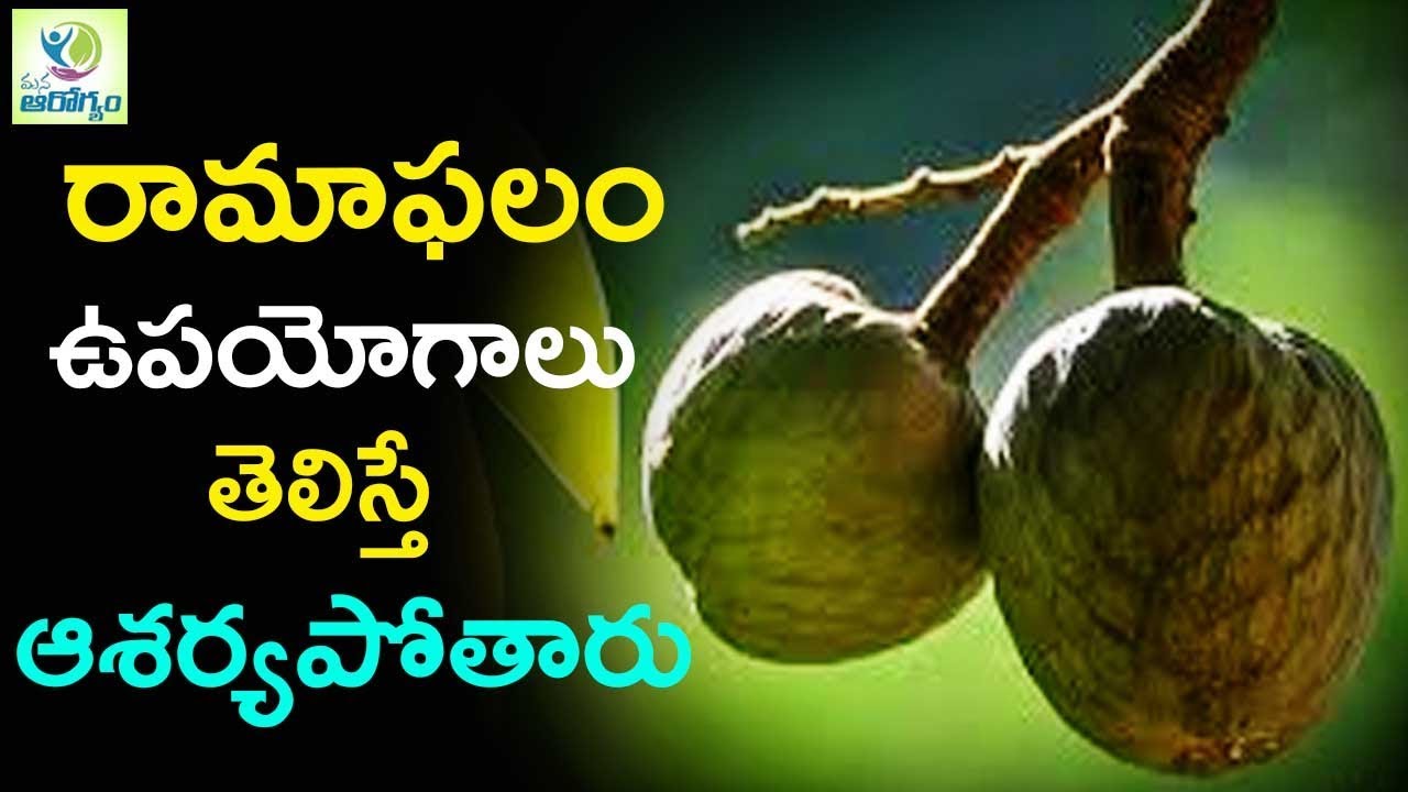 Top Health benefits of Ramphal Fruit Mana Arogyam Telugu Health Tips