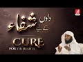 Cure for the hearts  sheikh mansour al salimi