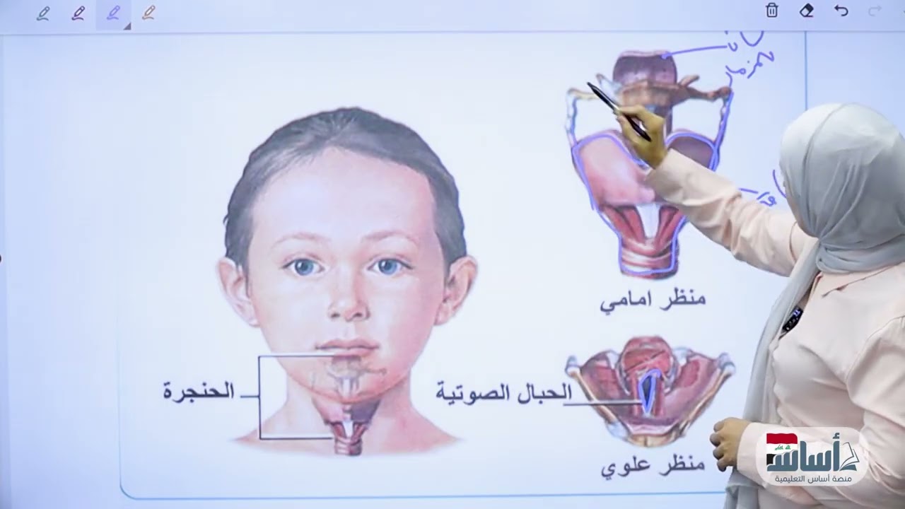 شرح الجهاز التنفسي/الفصل السادس/الاحياء- الثالث المتوسط
